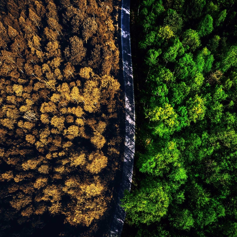 Understand The Real Estate Market